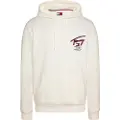 Tommy Hilfiger Reg 3d Street Tj Hood Ext Hettegenser