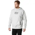 Helly Hansen Graphic Hettegenser