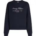 Tommy Hilfiger Ww0ww43574 Collegegenser