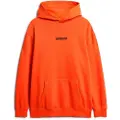 Superdry Micro Logo Graphic Loose Hettegenser