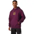 Helly Hansen Graphic Hettegenser