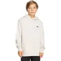 Quiksilver Basic Hettegenser