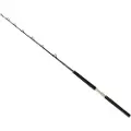 Daiwa Sealine X Slxtr100agbf Fiskesnelle