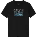 Calvin Klein Gradient Flock Logo Kortarmet T-skjorte