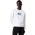 Calvin Klein Gradient Logo Hettegenser