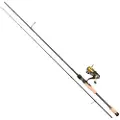 Abu Garcia Superior Spinnende Combo