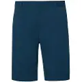 Oakley Apparel Perf Terrain Shorts