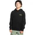 Quiksilver Big Logo Hettegenser