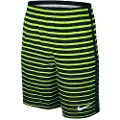 Nike Dry Squad Shorts