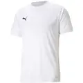 Puma Teamliga Kortarmet T-skjorte