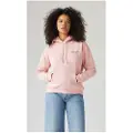 Levi's Graphic Everyday Hettegenser