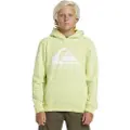 Quiksilver Big Logo Hettegenser