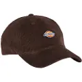 Dickies Hardwick Corduroy Caps brun