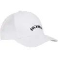 Dickies Shawsville Trucker Cap
