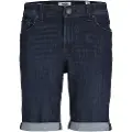Jack & Jones Am 600 Korte Jeans