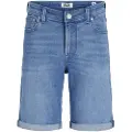 Jack & Jones Chris Am 600 Korte Jeans