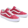 Vans Old Skool Treningssko