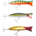 Halco Roosta Popper 75g 160 Mm