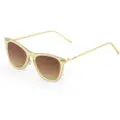 Ocean Sunglasses Genova Solbriller