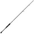 LINEAEFFE Bass Finder Spinnestang