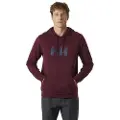 Helly Hansen Logo Collegegenser