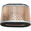 HiFlo Triumph Hfa6503 Luftfilter