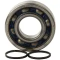 Hotrods Yam 450 Grizz07-14/kodiak 03-06/rhino 06-09/wolv Veivaksellagersats