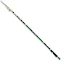 Fishing Ferrari Ninfa Lt Tele Bolognesestang