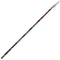 Fishing Ferrari Ninfa Lt Tele Bolognesestang