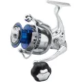 Tica Tabby Jigging-snelle