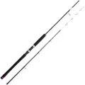 Cinnetic Sky Line Tanera Jigging Stang