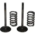 ProX Yamahayz-f03-09/wr-f03-15/yfz-r09-23 Vcses24241 Eksosventil