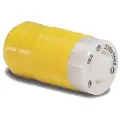 Marinco Kompakt Eksportkontakt 230v