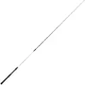 Renzo Valdieri Spot Bass Spinnestang