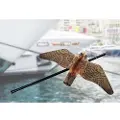 Stop Gull Støtte For Falker Og Måker 5 M