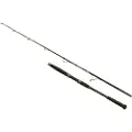 Wizard Vertix Boat Jig Mallefiskestang