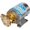 Ancor Ep60 60 Liter/min 3/4´´ Selvsugende Pumpe 24v