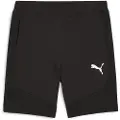 Puma Evostripe 8´´ Dk Shorts