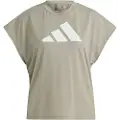 Adidas Icons Regular Fit Logo Kortarmet T-skjorte