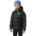 Helly Hansen Isfjord 2.0 Dunjakke