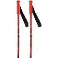 Rossignol Hero Gs Junior Staver