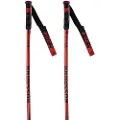 Rossignol Hero Gs-sg Spaserstokker
