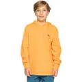 Quiksilver Basic Hettegenser