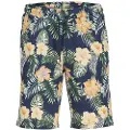 Jack & Jones Chill Sports Shorts