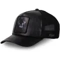 Hatfield Panther Cap