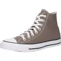 Converse Chuck Taylor All Star Sneakers grå