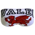 Turbo Wales Dragon Badetrusser