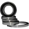 BLACK BEARING Ceramic Lager