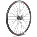 Gurpil Fixed Dp-18 Bearings Disc Tubular Forhjul