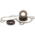 Hotrods Kawasaki Kfx 450r 08-14 Reparasjonssett For Vannpumpe